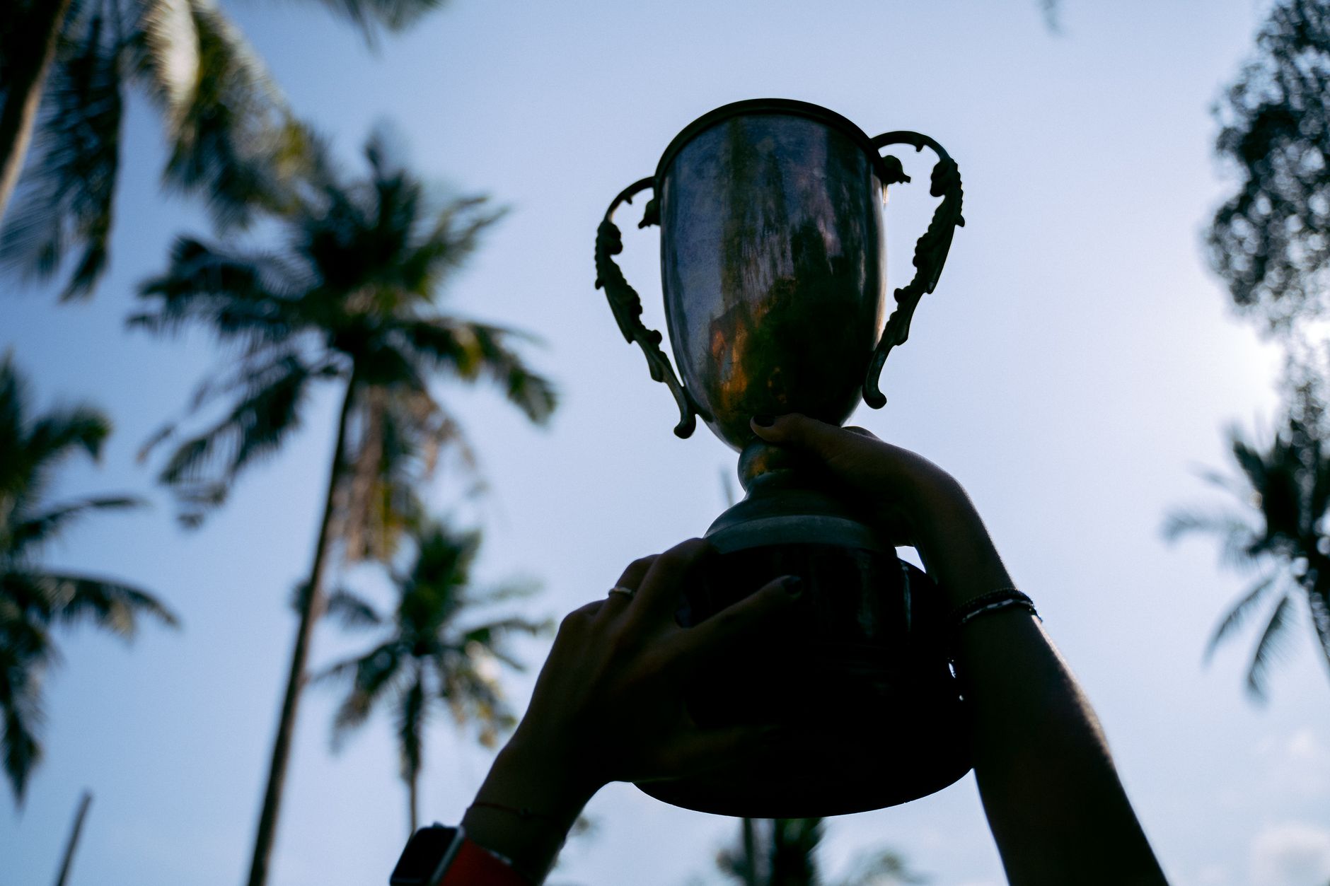 En este momento estás viendo Trofeos para eventos | Ideas para reconocer logros deportivos, escolares y empresariales